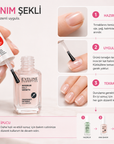 Eveline Maximum Nails Growth kullanım adımları: tırnağı hazırlama, ince kat uygulama ve düzenli tekrarlama